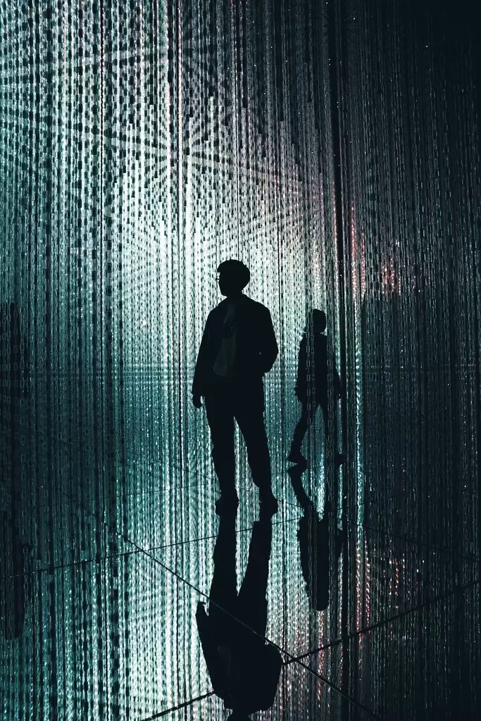 Digital Twins: Bridging the Gap Between the Physical and Virtual Worlds